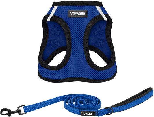 Voyager Step-In Air Mesh Harness and Reflective Leash Combo - Perfect for Small to Large Breed Dogs and Cats - All Weather Blue Set