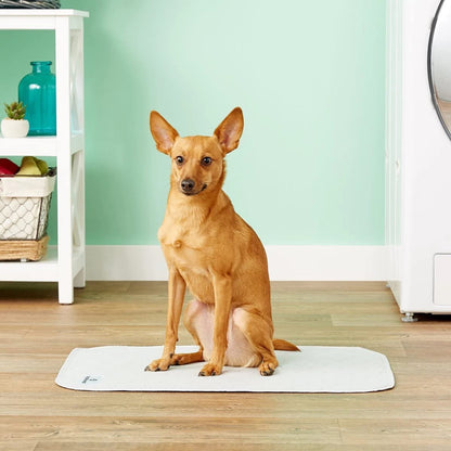 Pawtect® Pads - Premium Washable Dog Pee Pads (2 Pack) - 18"x24" Waterproof Training Pads for Dogs - Perfect for Housebreaking, Whelping, and Everyday Use!